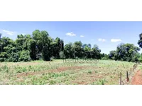 Imóvel Rural de 62.500m² em Três de Maio - RS