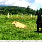 Terreno Rural 989 hectares em Engenho Jenipapo com grande potencial