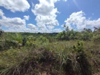 Lote com 22830 m² em Itaporanga d'Ajuda/SE -