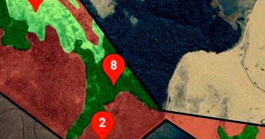 Imóvel Rural com 77.72ha Ocupado em Luiziana/PR