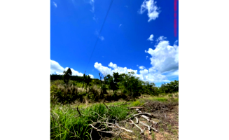Fazenda c/ 128,15,85 hectares - Minaçu/GO