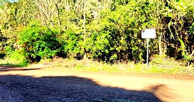 Lote Rural com 2.500m² em Realeza/PR