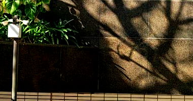 Apartamento 304m² com 2 vagas, 3 quartos, 2 banheiros - Ocupado