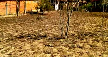 Lote 7 em Gravatá/PE - 31m frente, 31,5m fundos