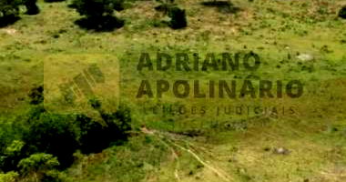 Fazenda Limeira - 181,5 hectares com casa e pastagens