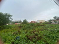Terreno amplo em Canastra, Araripina - 1200 m²