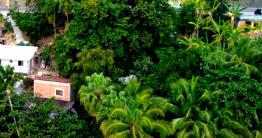 Terreno com 1.791 m² e 257 m² construídos em Ilhabela/SP