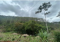 Terreno Amplo com 423.707,70m² em Afonso Cláudio/ES