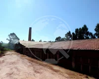 Gleba Rural em Taquarituba - 19 ha com Olaria e Casas