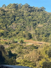 Área Rural de 3 Hectares em Gramado