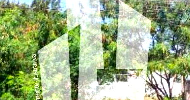 Terreno amplo de 609,6m² em Campo Grande, pronto para investimento