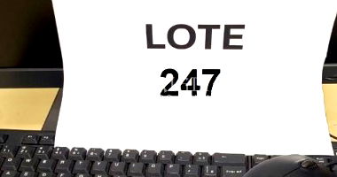 Lote 247: 16 Microcomputadores e 16 Monitores LCD