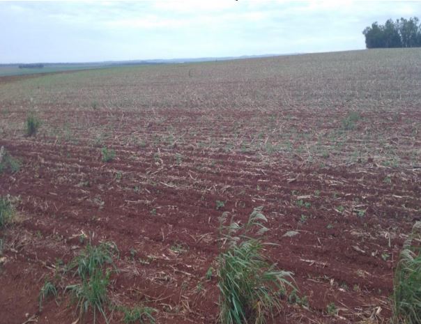 Fração de 92% da Fazenda Aleluia, 37,5559 hectares