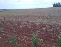 Fração de 92% da Fazenda Aleluia, 37,5559 hectares