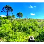 Fração de Terras de 140.000 m² em Agudo - Oportunidade Única!