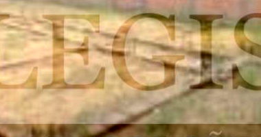 Terreno Urbano com Área Total de 250m² em Monte Alto/SP