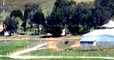 Glebas na Fazenda Ipoeira com 333,59 ha em Arinos - MG