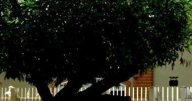 Casa com 3 Quartos e 1 Suíte em Barretos