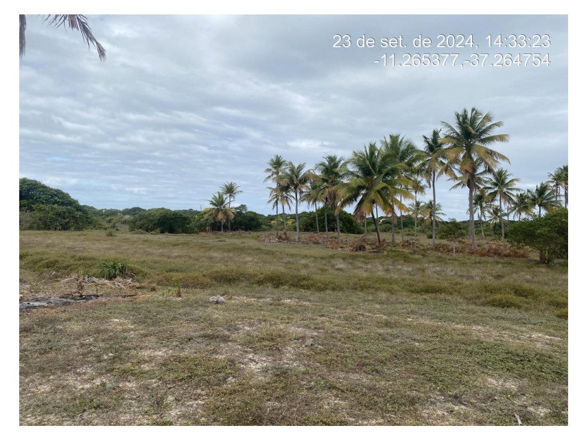Terreno de 300 m² em leilão