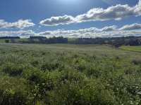 Terreno rural 245.600m² em Ernestina/RS -
