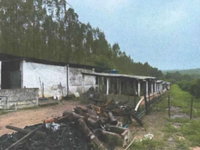 Chácara/Sítio com 4.0 ha, desocupada, ideal para investimento rural