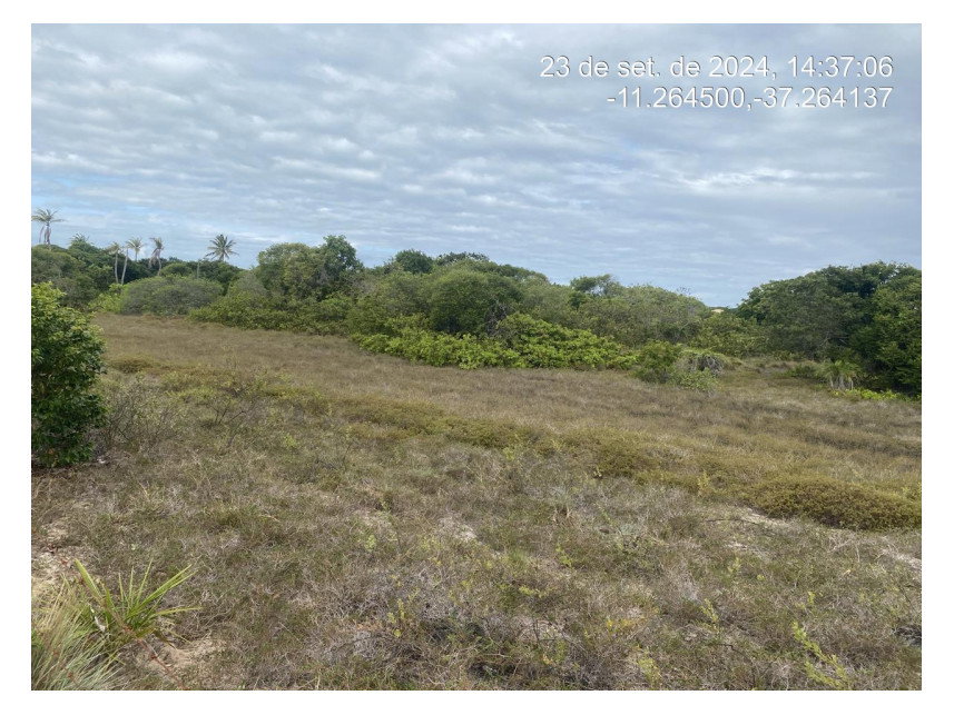 Terreno de 300m² em Loteamento à Venda em Leilão