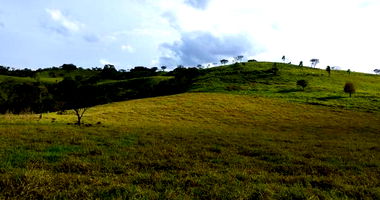 Imóvel Rural com 96.800m² em Laranjeiras do Sul