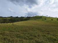 Imóvel Rural com 96.800m² em Laranjeiras do Sul