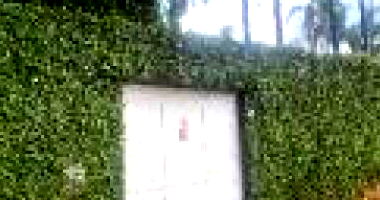 Casa com terreno de 1100 m² em Belo Horizonte