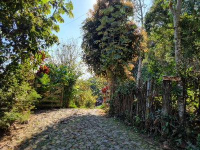 Sítio Bourbon com 5.084m² em Juiz de Fora/MG - Casa sede e caseiro