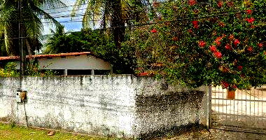 Terrenos em Lagoinha - 500m² e 2000m² - Oportunidade Única!