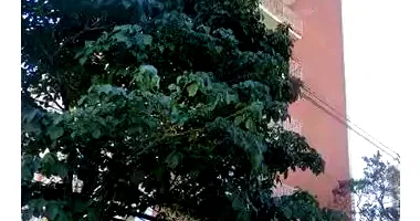 Apartamento com 4 quartos em leilão no Centro de Santo André