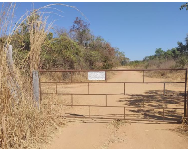 Fazenda Gameleira - 1.051 hectares em Lagoa Grande/MG
