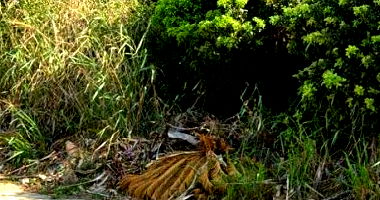 Terreno com 1.000m² em Armação dos Búzios/RJ