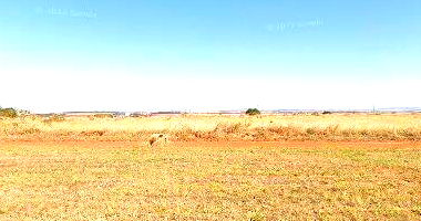 Terreno 300m² para construção, lote 24, desocupado