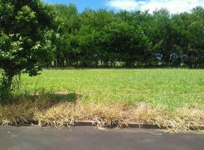 Terreno Urbano de 200 m² em Umuarama - Oportunidade Única!