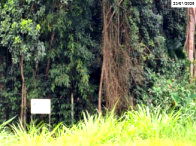 Terreno com 3.584,84m² em Criciúma/SC