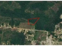 Área Rural em Leilão - Fazenda Boa Sorte