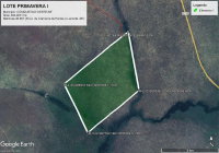 Imóvel Rural com 484 Hectares -