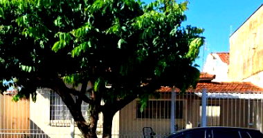 Parte Ideal 10% da Casa 134m², 3 dormitórios, Penápolis SP