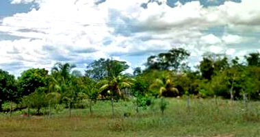 Imóvel Rural de 1.876,00ha em Santa Rita de Cassia/BA