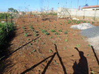 Terreno com 450m² no Setor Morada Nova