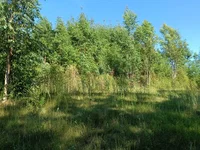 Fração de Terreno Rural com 8.228m² em Formigueiro/RS