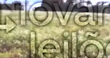 Área Rural de 3 Hectares em Tiradentes do Sul - RS