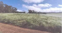 Área Rural de 3 Hectares em Tiradentes do Sul - RS