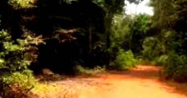 Área Rural em Condomínio Utinga com 1.346,10ha - Oportunidade Única!