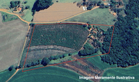 Imóvel rural de 4 hectares em Ibiá/MG - Oportunidade única!