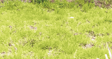 Terreno 331m² em Votorantim/SP