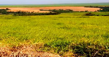 Gleba de Terras Rural em Casa Branca/SP