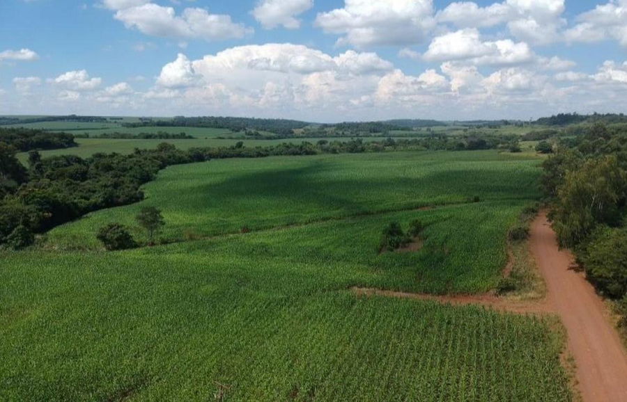 Imóvel Rural Desocupado com 70.050 m² em Mercedes/PR